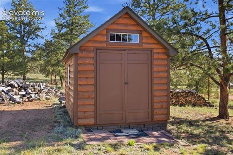 Tiny photo for 875 Hackamore Drive, Florissant, CO 80816 (MLS # 5324104)