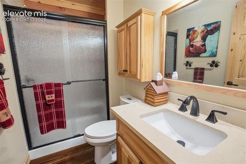 Tiny photo for 875 Hackamore Drive, Florissant, CO 80816 (MLS # 5324104)