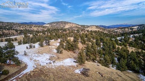 Photo of 13 Buckhorn Trail, Guffey, CO 80820 (MLS # 5153891)
