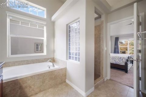 Tiny photo for 9155 Dome Rock Place, Colorado Springs, CO 80924 (MLS # 5209481)