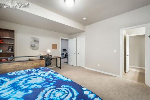Tiny photo for 9155 Dome Rock Place, Colorado Springs, CO 80924 (MLS # 5209481)