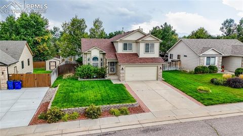 Photo of 3165 Frazier Lane, Colorado Springs, CO 80922 (MLS # 7866806)