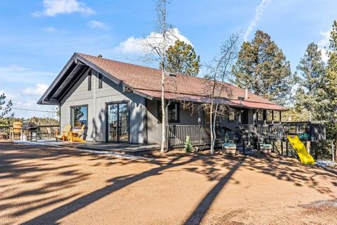 Photo of 80 Hobe Creek Trail, Florissant, CO 80816 (MLS # R13898572)