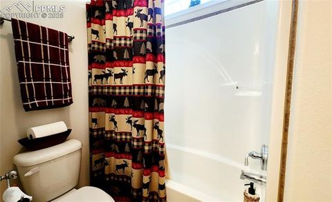 Tiny photo for 324 Pike View Lane, Florissant, CO 80816 (MLS # 6617353)