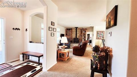 Tiny photo for 324 Pike View Lane, Florissant, CO 80816 (MLS # 6617353)