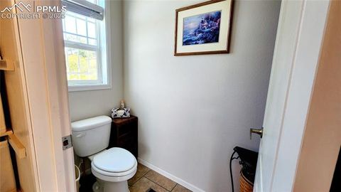 Tiny photo for 324 Pike View Lane, Florissant, CO 80816 (MLS # 6617353)