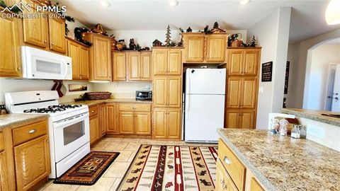 Tiny photo for 324 Pike View Lane, Florissant, CO 80816 (MLS # 6617353)