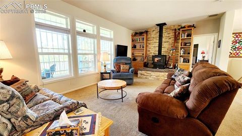 Tiny photo for 324 Pike View Lane, Florissant, CO 80816 (MLS # 6617353)