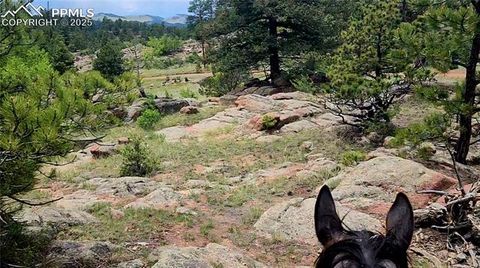 Tiny photo for 324 Pike View Lane, Florissant, CO 80816 (MLS # 6617353)