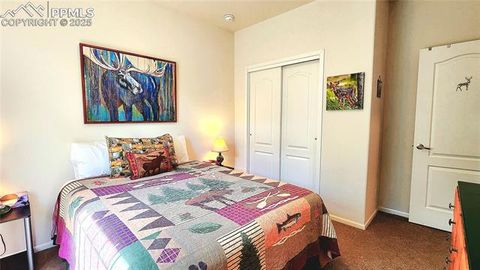 Tiny photo for 324 Pike View Lane, Florissant, CO 80816 (MLS # 6617353)