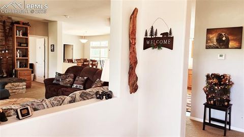 Tiny photo for 324 Pike View Lane, Florissant, CO 80816 (MLS # 6617353)