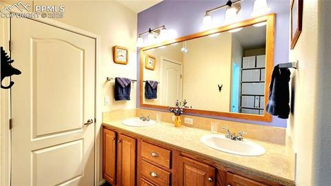 Tiny photo for 324 Pike View Lane, Florissant, CO 80816 (MLS # 6617353)