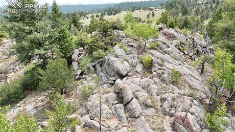 Tiny photo for 324 Pike View Lane, Florissant, CO 80816 (MLS # 6617353)