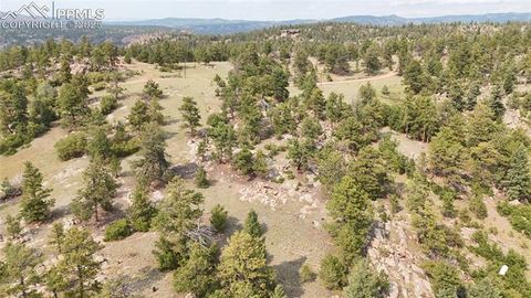 Tiny photo for 324 Pike View Lane, Florissant, CO 80816 (MLS # 6617353)