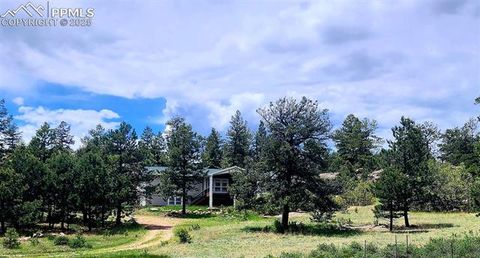 Tiny photo for 324 Pike View Lane, Florissant, CO 80816 (MLS # 6617353)