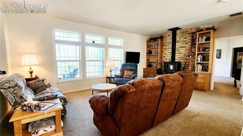 Tiny photo for 324 Pike View Lane, Florissant, CO 80816 (MLS # 6617353)