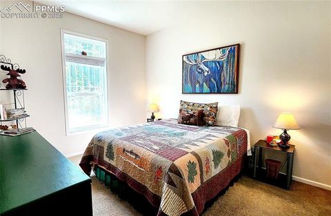 Tiny photo for 324 Pike View Lane, Florissant, CO 80816 (MLS # 6617353)