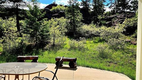 Tiny photo for 324 Pike View Lane, Florissant, CO 80816 (MLS # 6617353)