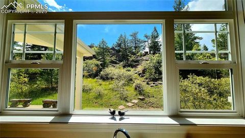 Tiny photo for 324 Pike View Lane, Florissant, CO 80816 (MLS # 6617353)