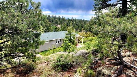 Tiny photo for 324 Pike View Lane, Florissant, CO 80816 (MLS # 6617353)