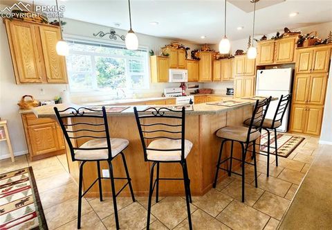 Tiny photo for 324 Pike View Lane, Florissant, CO 80816 (MLS # 6617353)