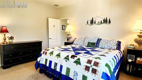 Tiny photo for 324 Pike View Lane, Florissant, CO 80816 (MLS # 6617353)