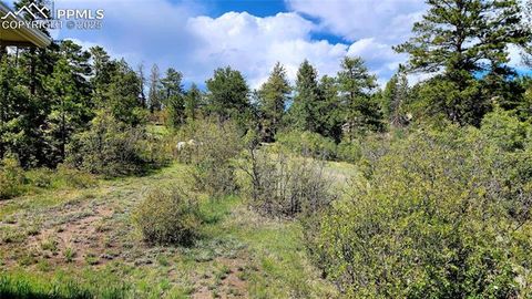 Tiny photo for 324 Pike View Lane, Florissant, CO 80816 (MLS # 6617353)
