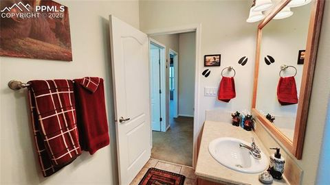 Tiny photo for 324 Pike View Lane, Florissant, CO 80816 (MLS # 6617353)