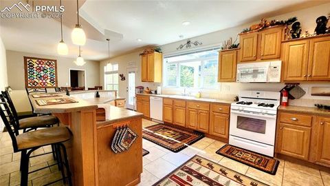 Tiny photo for 324 Pike View Lane, Florissant, CO 80816 (MLS # 6617353)