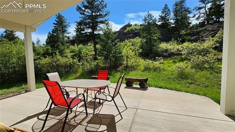 Tiny photo for 324 Pike View Lane, Florissant, CO 80816 (MLS # 6617353)