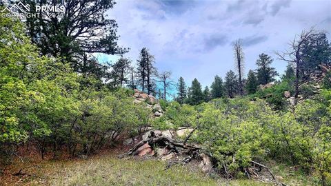 Tiny photo for 324 Pike View Lane, Florissant, CO 80816 (MLS # 6617353)