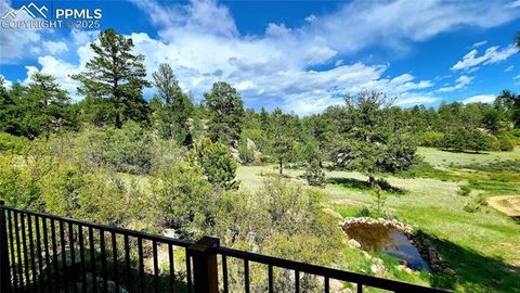 Tiny photo for 324 Pike View Lane, Florissant, CO 80816 (MLS # 6617353)