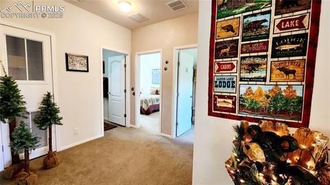 Tiny photo for 324 Pike View Lane, Florissant, CO 80816 (MLS # 6617353)