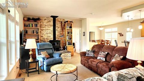 Tiny photo for 324 Pike View Lane, Florissant, CO 80816 (MLS # 6617353)