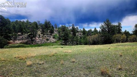 Tiny photo for 324 Pike View Lane, Florissant, CO 80816 (MLS # 6617353)