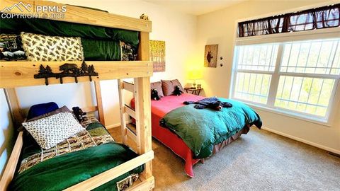 Tiny photo for 324 Pike View Lane, Florissant, CO 80816 (MLS # 6617353)