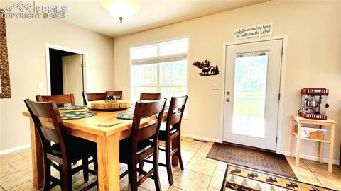 Tiny photo for 324 Pike View Lane, Florissant, CO 80816 (MLS # 6617353)