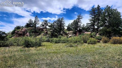 Tiny photo for 324 Pike View Lane, Florissant, CO 80816 (MLS # 6617353)
