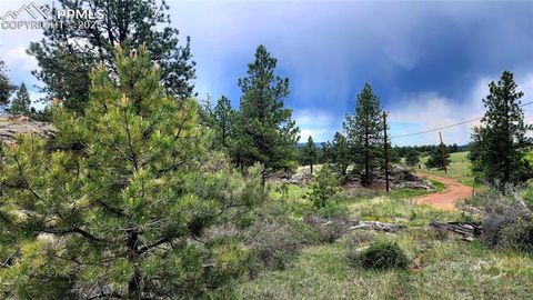Tiny photo for 324 Pike View Lane, Florissant, CO 80816 (MLS # 6617353)