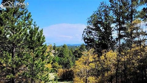 Tiny photo for 324 Pike View Lane, Florissant, CO 80816 (MLS # 6617353)
