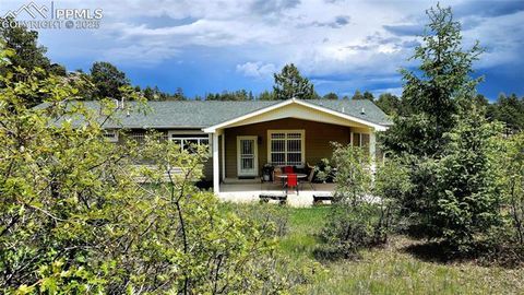Tiny photo for 324 Pike View Lane, Florissant, CO 80816 (MLS # 6617353)