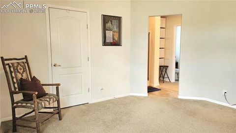 Tiny photo for 324 Pike View Lane, Florissant, CO 80816 (MLS # 6617353)