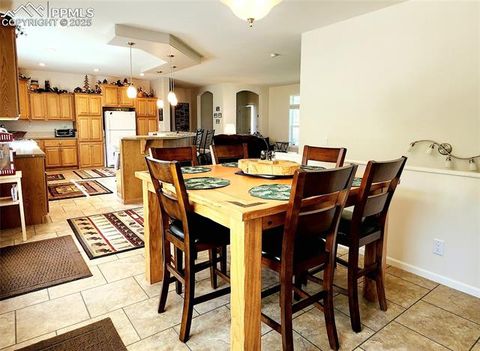 Tiny photo for 324 Pike View Lane, Florissant, CO 80816 (MLS # 6617353)