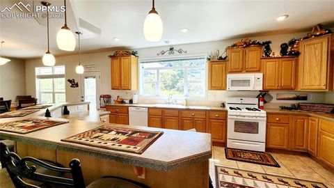 Tiny photo for 324 Pike View Lane, Florissant, CO 80816 (MLS # 6617353)