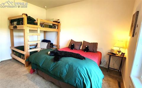 Tiny photo for 324 Pike View Lane, Florissant, CO 80816 (MLS # 6617353)