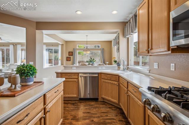 13717 Sand Cherry Place