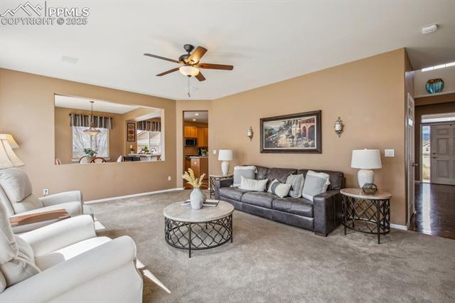 13717 Sand Cherry Place