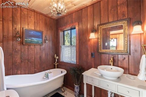 Tiny photo for 714 Woodrock Way, Divide, CO 80814 (MLS # 2512727)