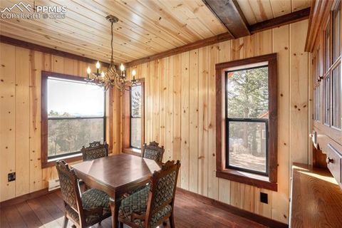 Tiny photo for 714 Woodrock Way, Divide, CO 80814 (MLS # 2512727)
