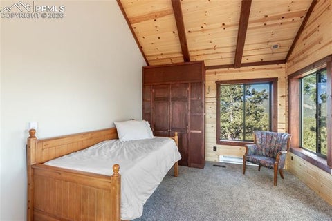 Tiny photo for 714 Woodrock Way, Divide, CO 80814 (MLS # 2512727)